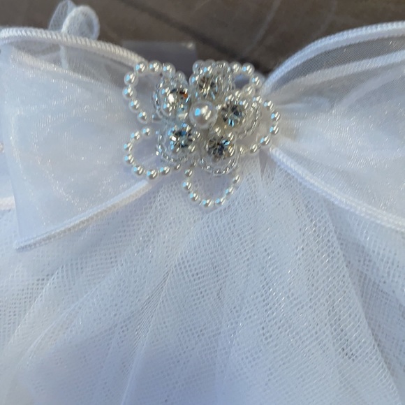 Veil - Picture 3 of 5